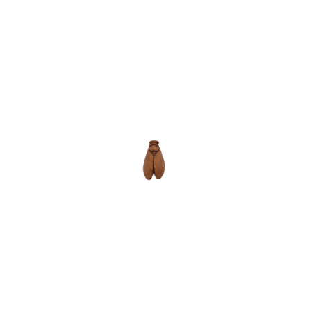 CHRISTIAN FRISETTI - Mini Cigale 5cm (Saumon)