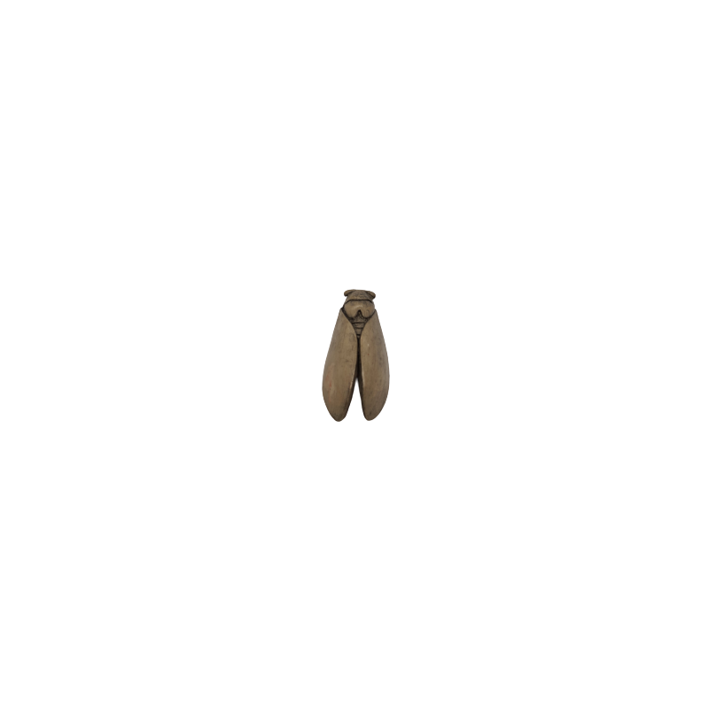 CHRISTIAN FRISETTI - Cigale 12cm (Ombre)