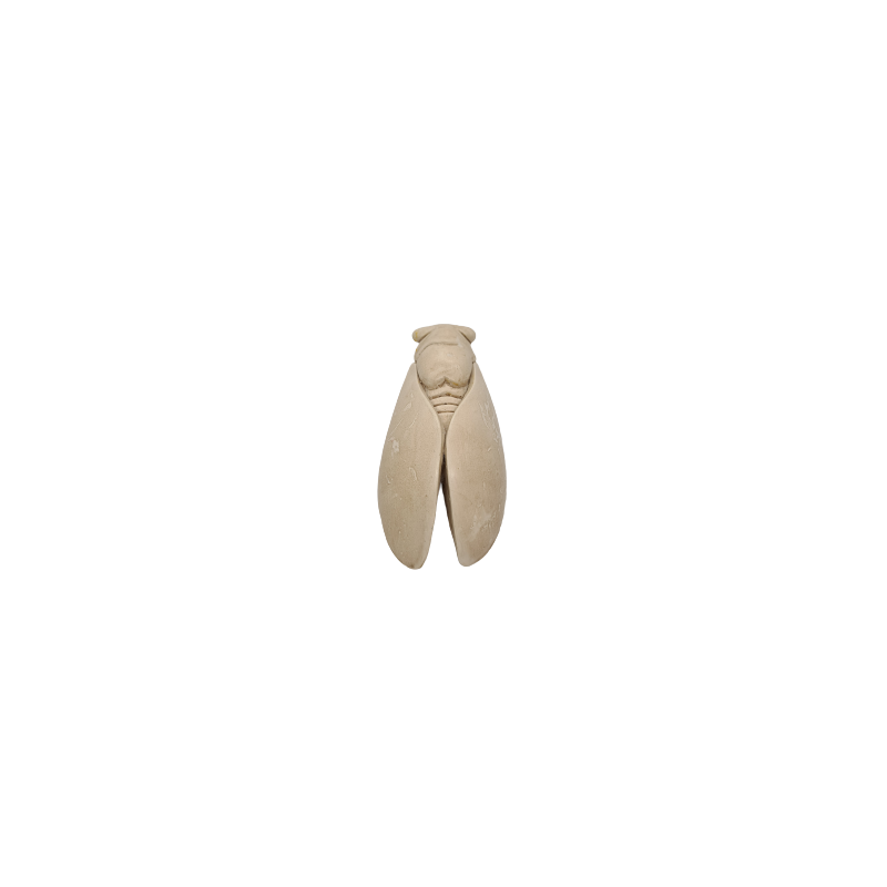 CIGALE 16cm T3 de Provence