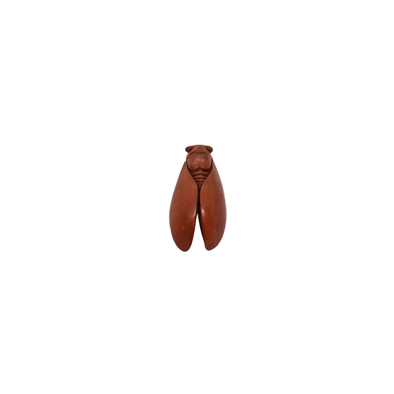 CIGALE 16cm T3 de Provence