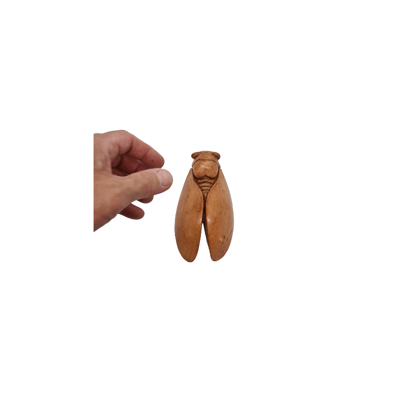 CIGALE 16cm T3 de Provence