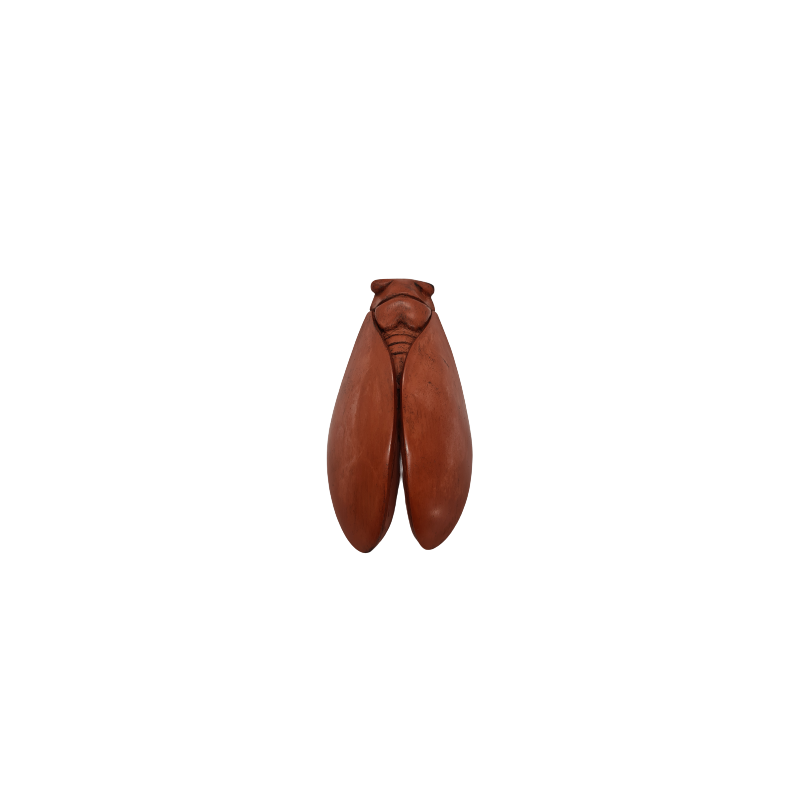 CIGALE 21cm T4 de Provence