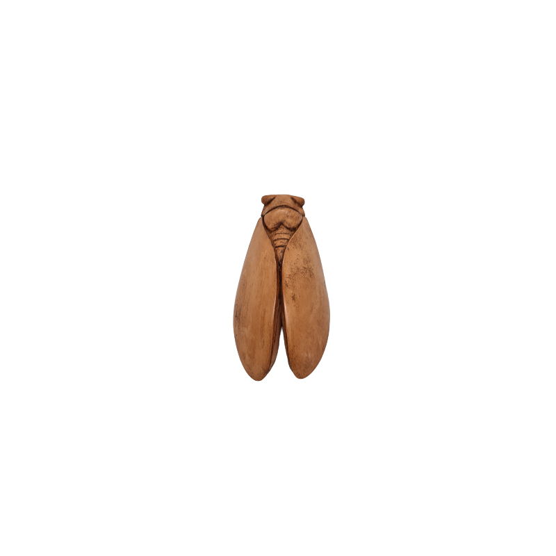 CIGALE 21cm T4 de Provence