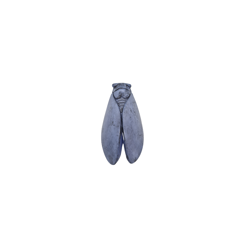 CIGALE 21cm T4 de Provence