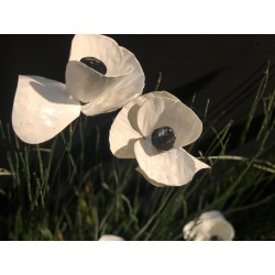 ARROSOIR&PERSIL - Fleur Pavot Blanc + Capsule  (Métal Recyclé)