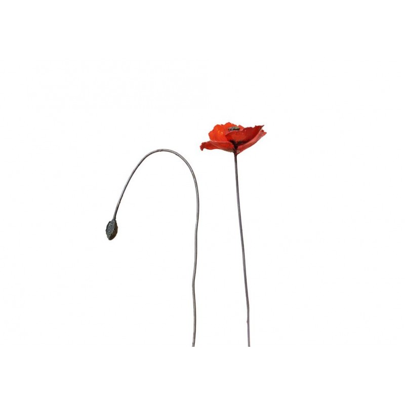 ARROSOIR&PERSIL - Coquelicot de Provence