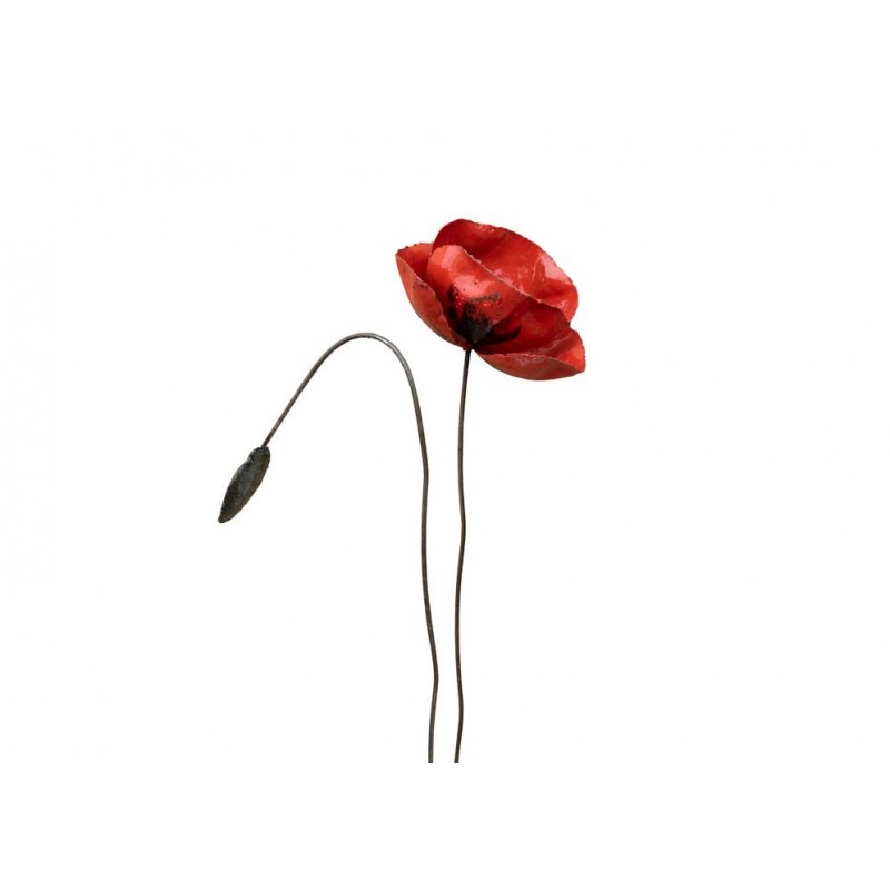 ARROSOIR&PERSIL - Coquelicot de Provence