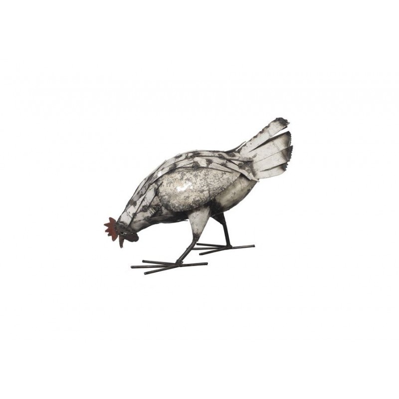 Poule Blanche qui de Provence