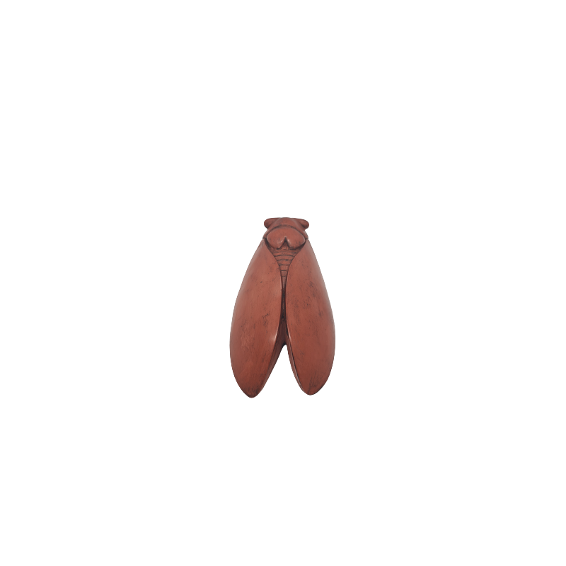 CIGALE 25cm GM de Provence