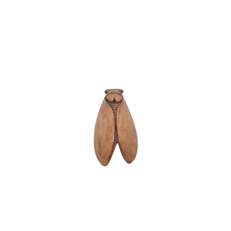 CIGALE 25cm GM de Provence