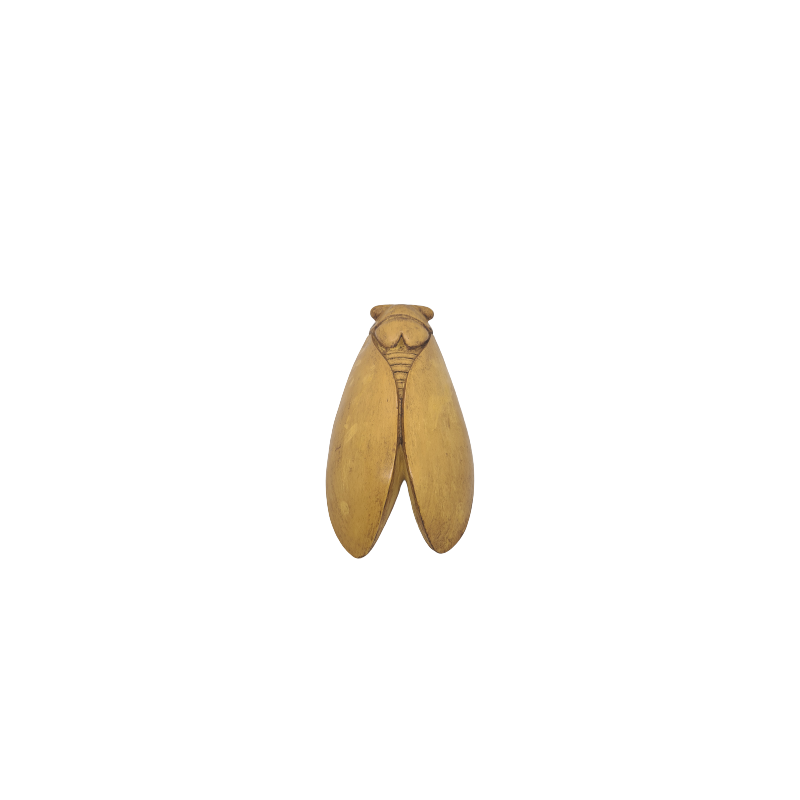 CIGALE 25cm GM de Provence