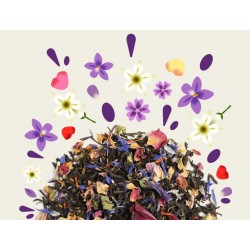 MAISON BOURGEON - Macaron Violette Sachet 100g