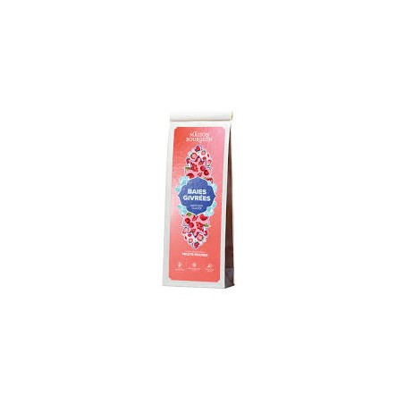 MAISON BOURGEON - BAIES GIVREES- Infusion Glacée -Sachet 100g
